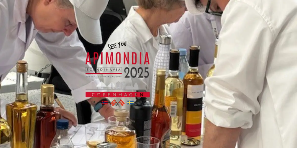 hydromel au miel de tilleul