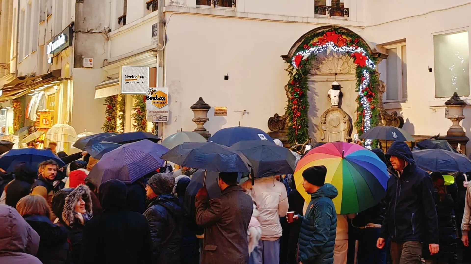 Au pied de Manneken Pis, habillé en apiculteur, le monument de Bruxelles, les apiculteur et les touristes  font la fête en buvant l'hydromel. On remarque deux enseignes, l'une est Nectar & Co, l'autre de Beebox World